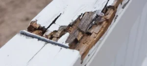 comment traiter le bois extérieur pourri