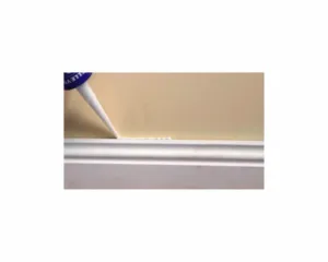 mastic acrylique