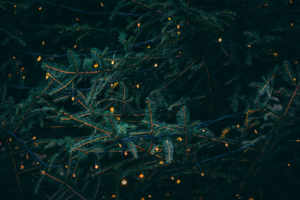 Comment créer son propre sapin de Noël
