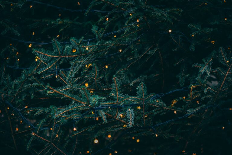 Comment créer son propre sapin de Noël