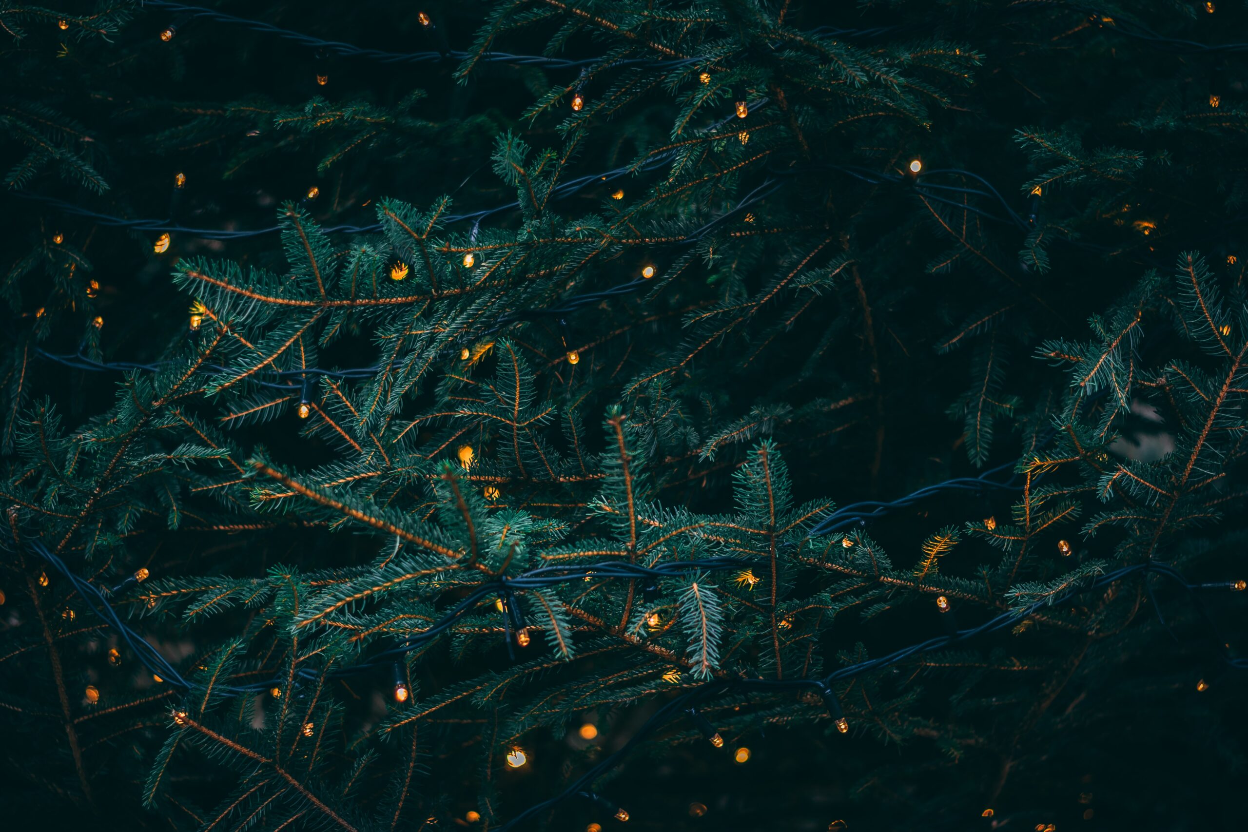 Comment créer son propre sapin de Noël