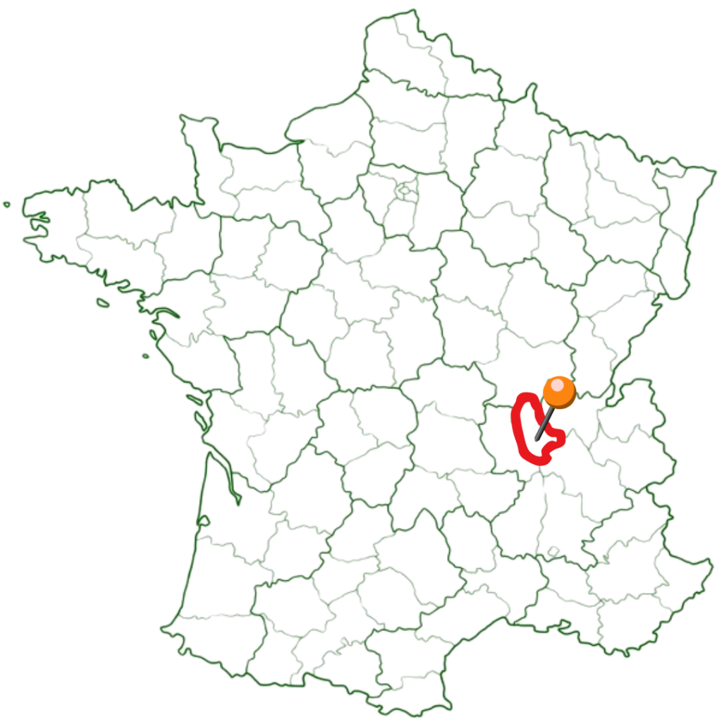 zone intervention lyon