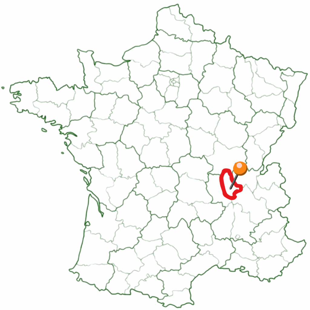 zone intervention lyon