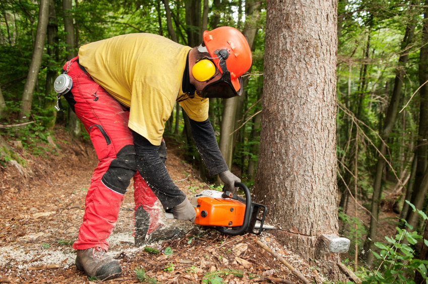 Bricoleur 3 conseils de sécurité pour vous protéger