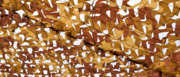 ombrage filet de camouflage ombre jardin terrasse